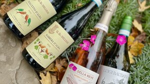 Vajra Tasting from Piedmont | Pinot Noir Wine Class | Schnitzel Night 