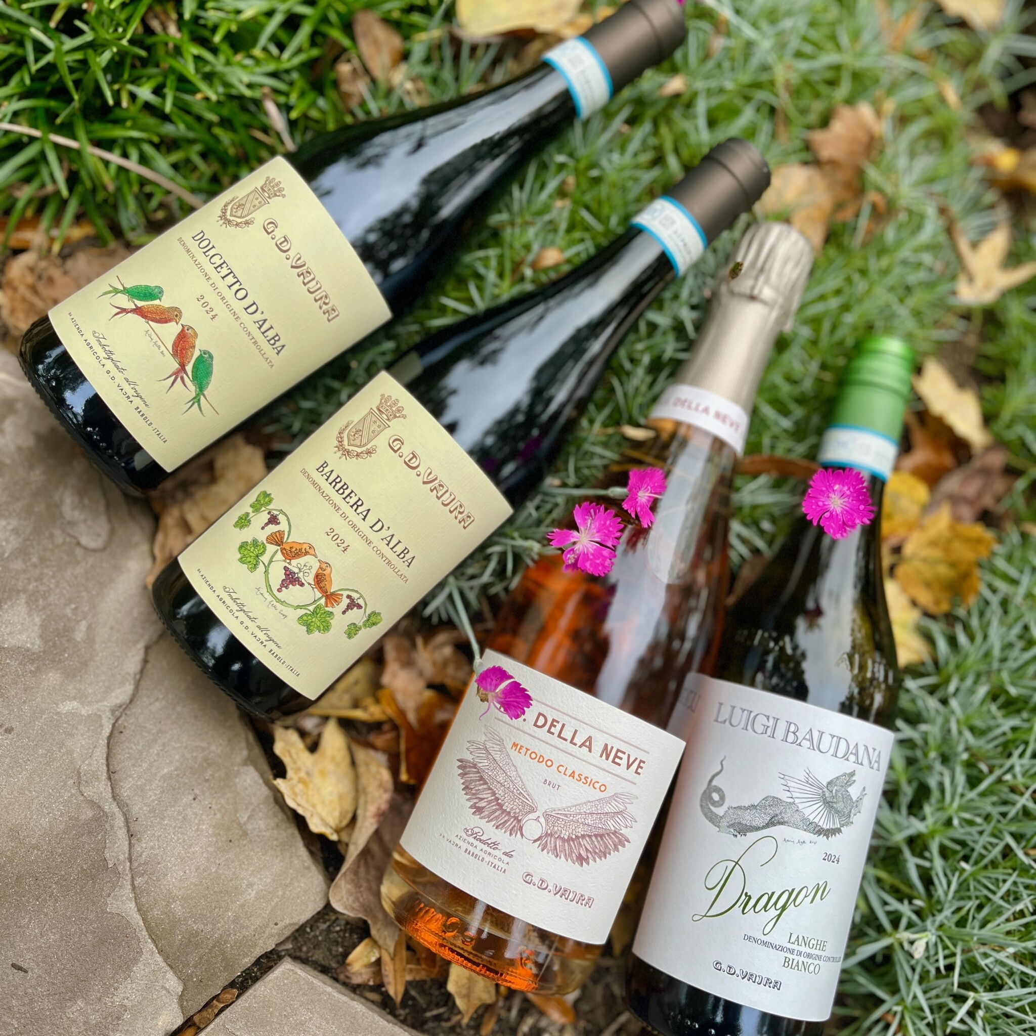 Vajra Tasting from Piedmont | Pinot Noir Wine Class | Schnitzel Night 