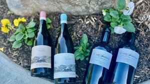 Northern Spain Wine Tasting | Schnitzel Night