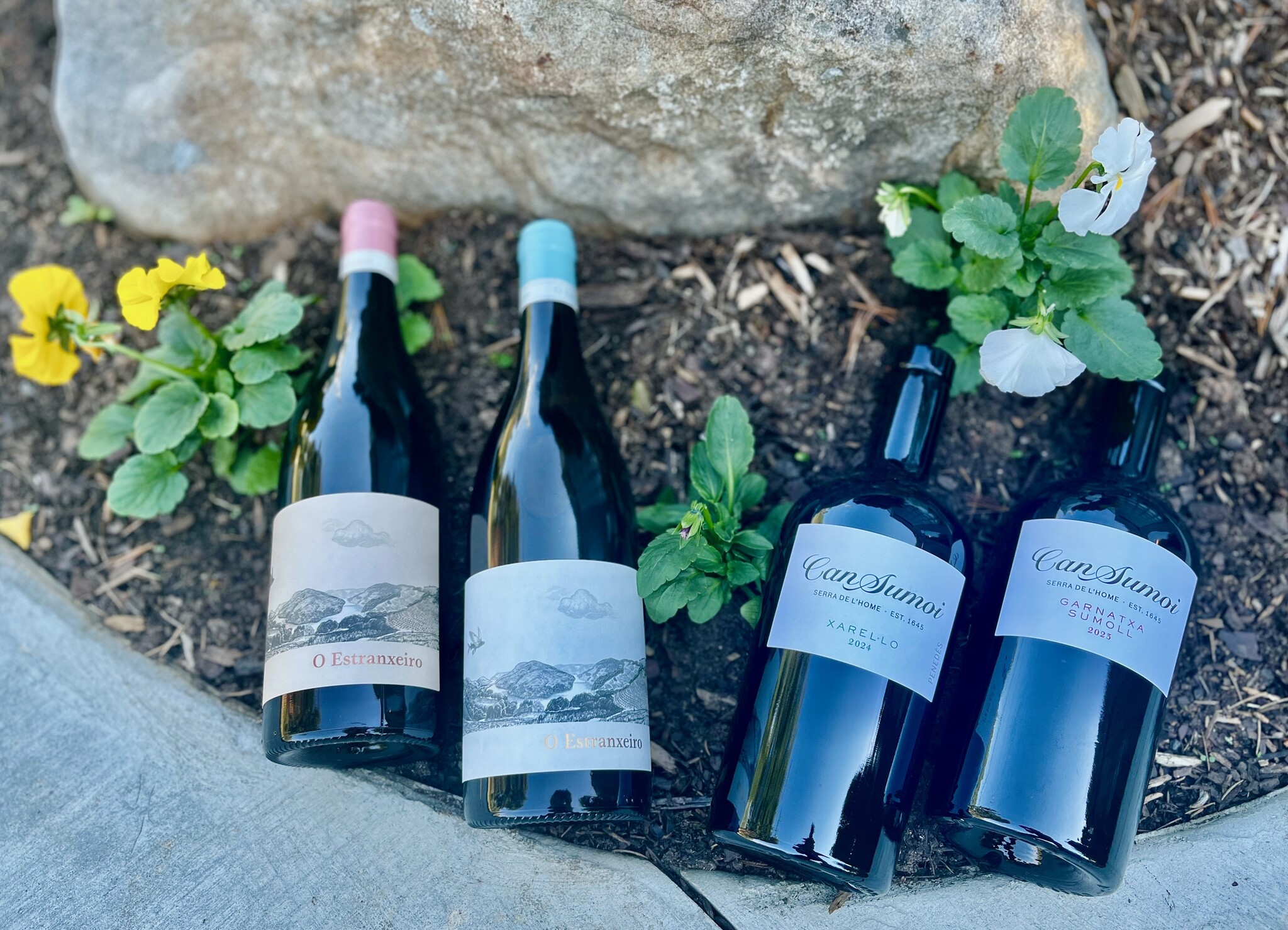 Northern Spain Wine Tasting | Schnitzel Night