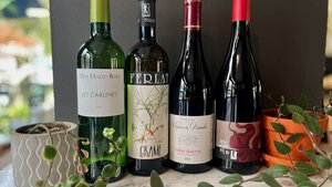 Thanksgiving Wines Tasting | Updated New Hours