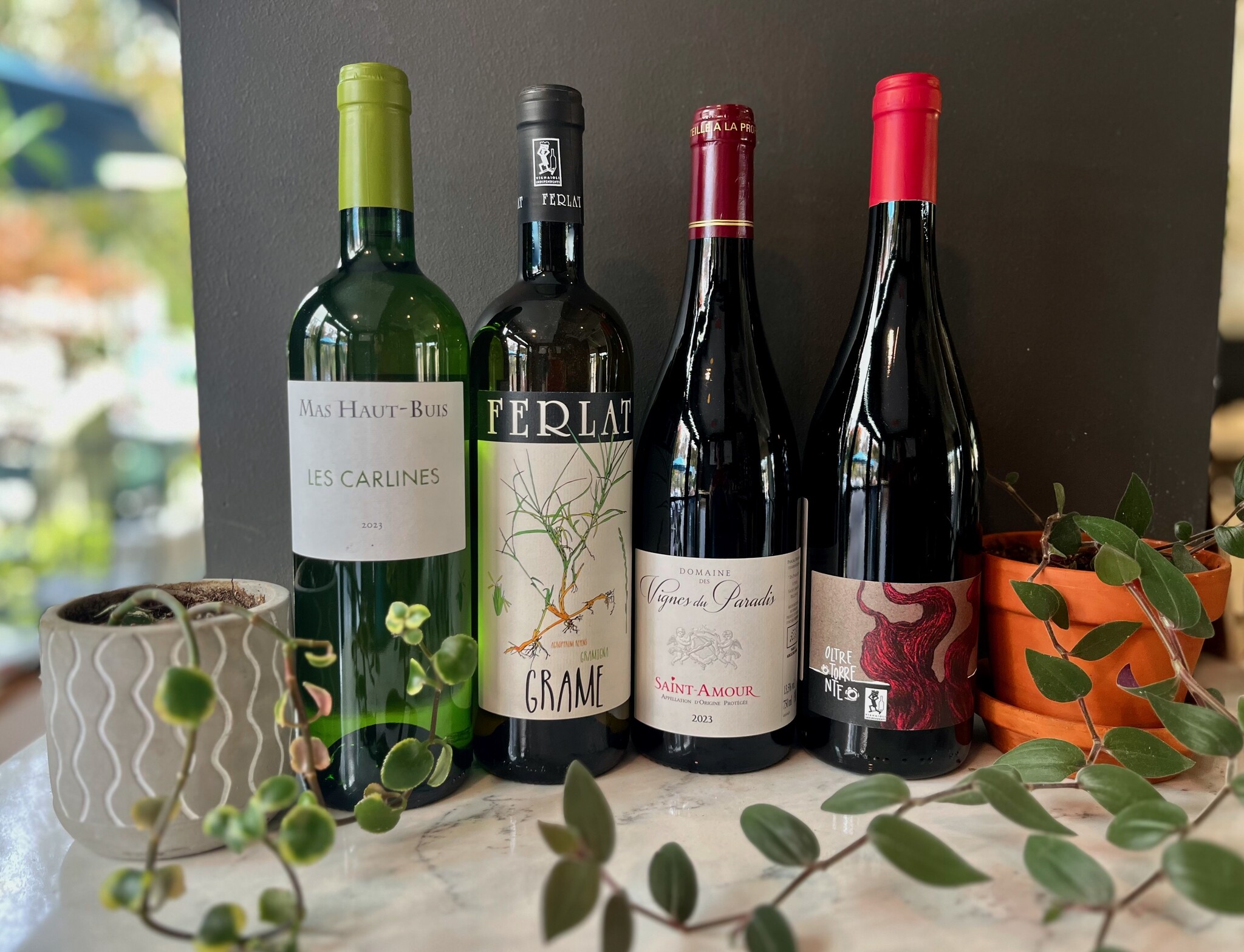 Thanksgiving Wines Tasting | Updated New Hours