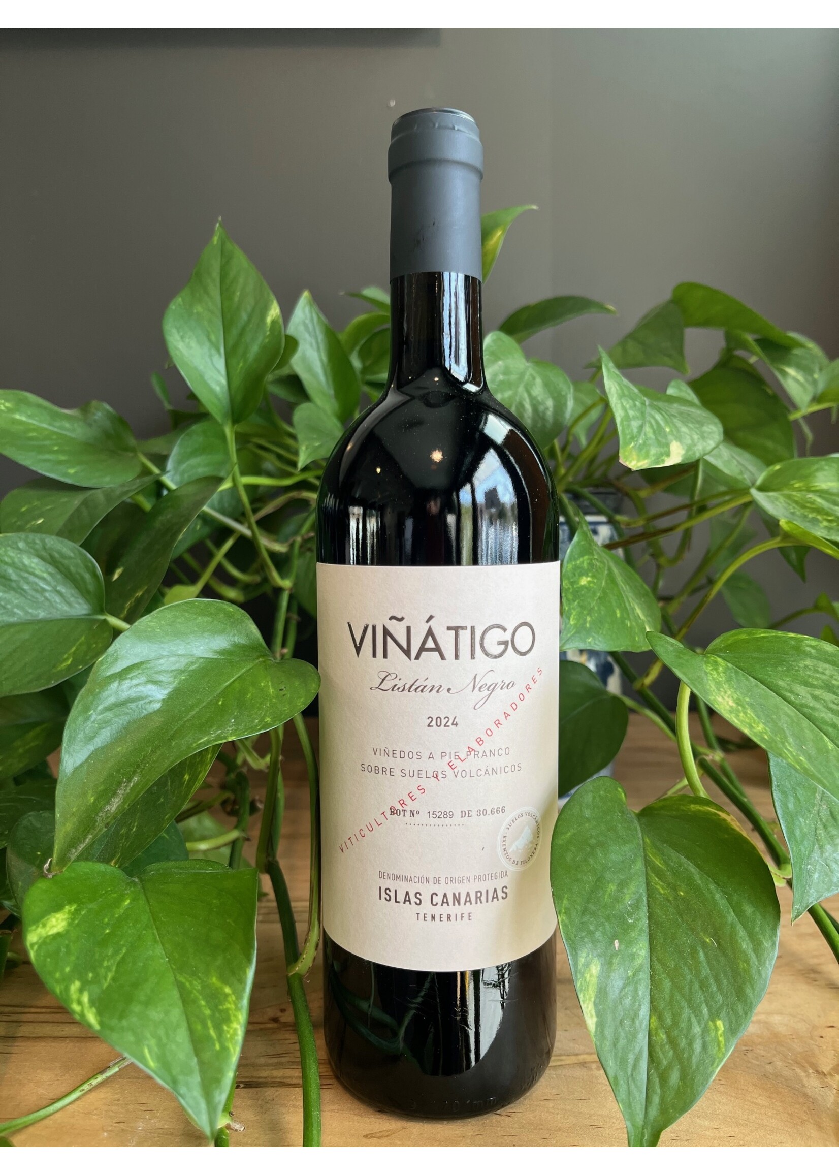 Viñátigo - Listan Negro Rosso 2024