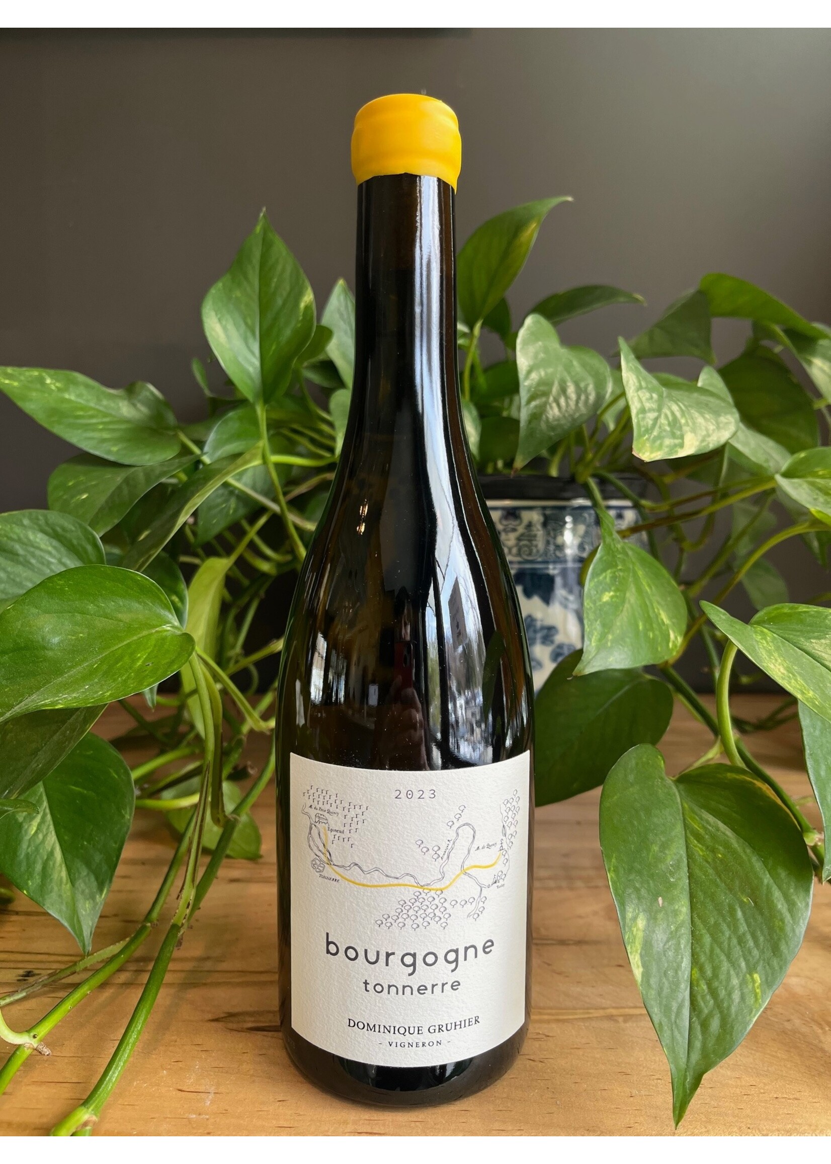Gruhier - Tonnerre Bourgogne Blanc 2023