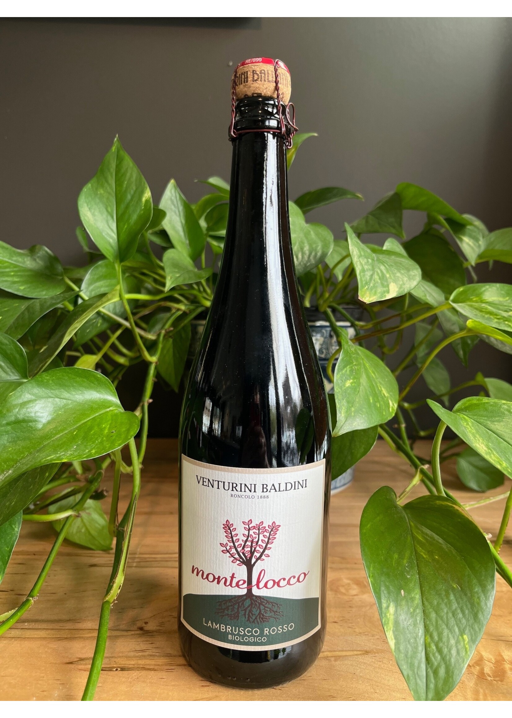 Venturini Baldini - Lambrusco Montelocco