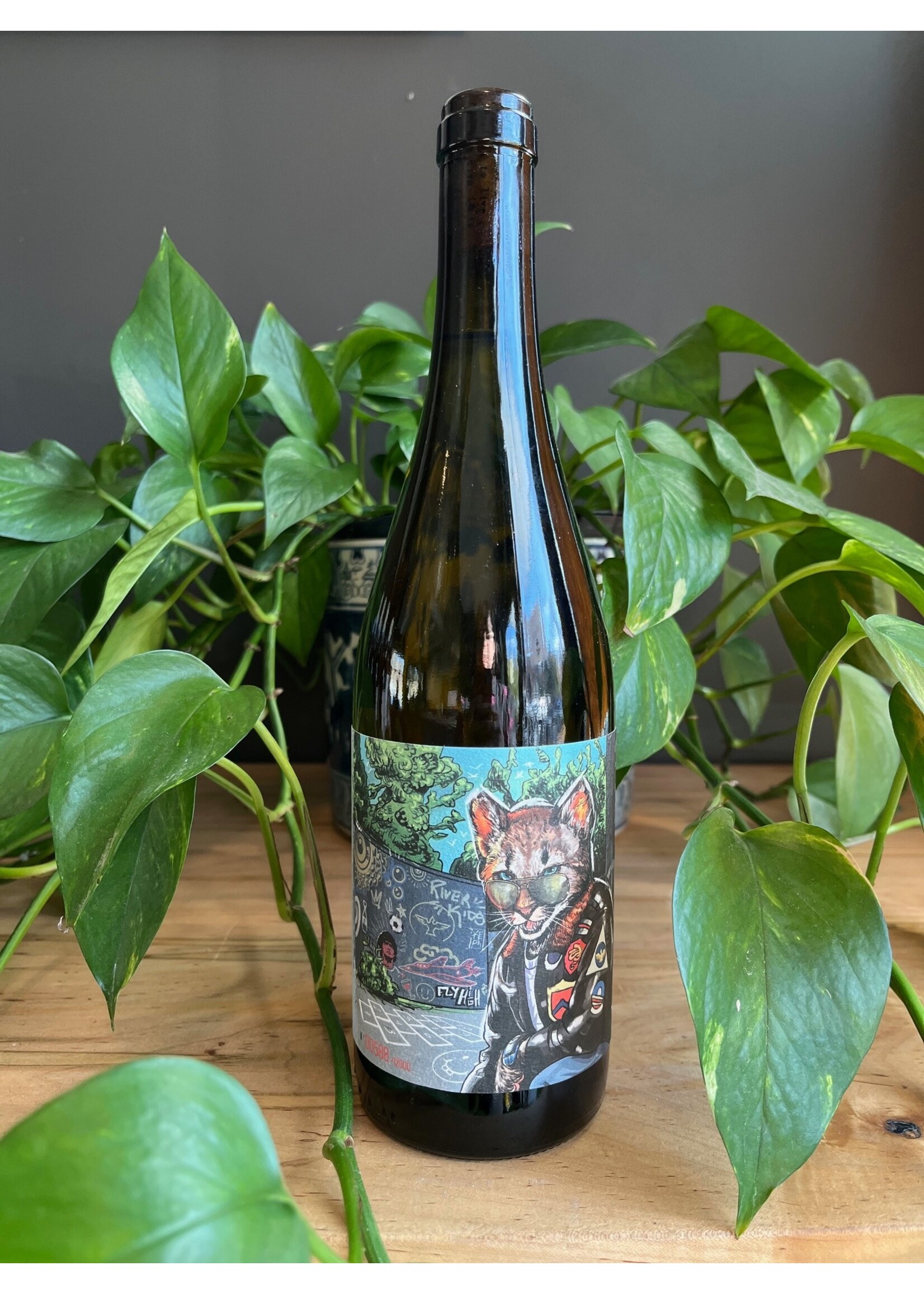 Hugo Mendes - Lisboa Pitau Branco 2024