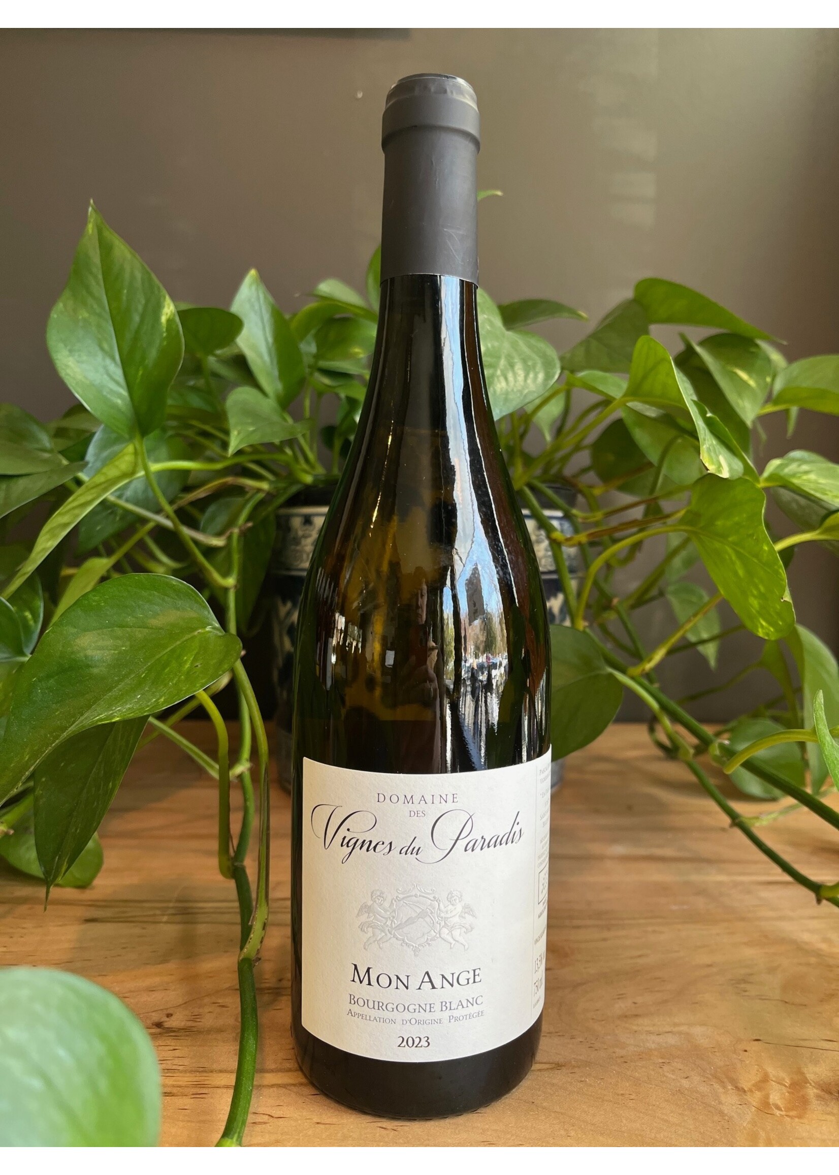 Piedmont Wine Imports Vignes du Paradis - Mon Ange Bourgogne Blanc AOP 2023