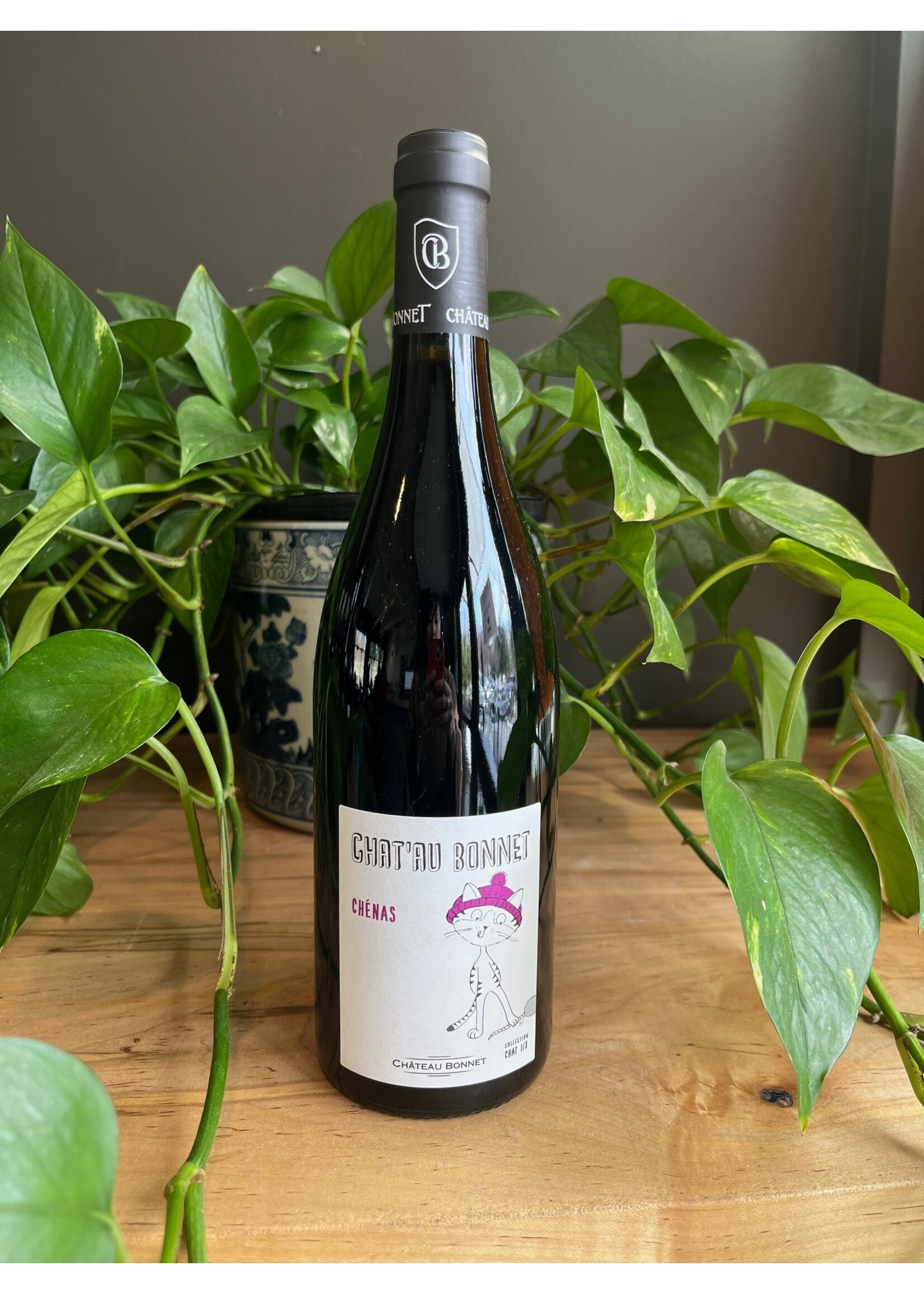 Bonnet - Chat Au Bonnet AOP Chenas 2023