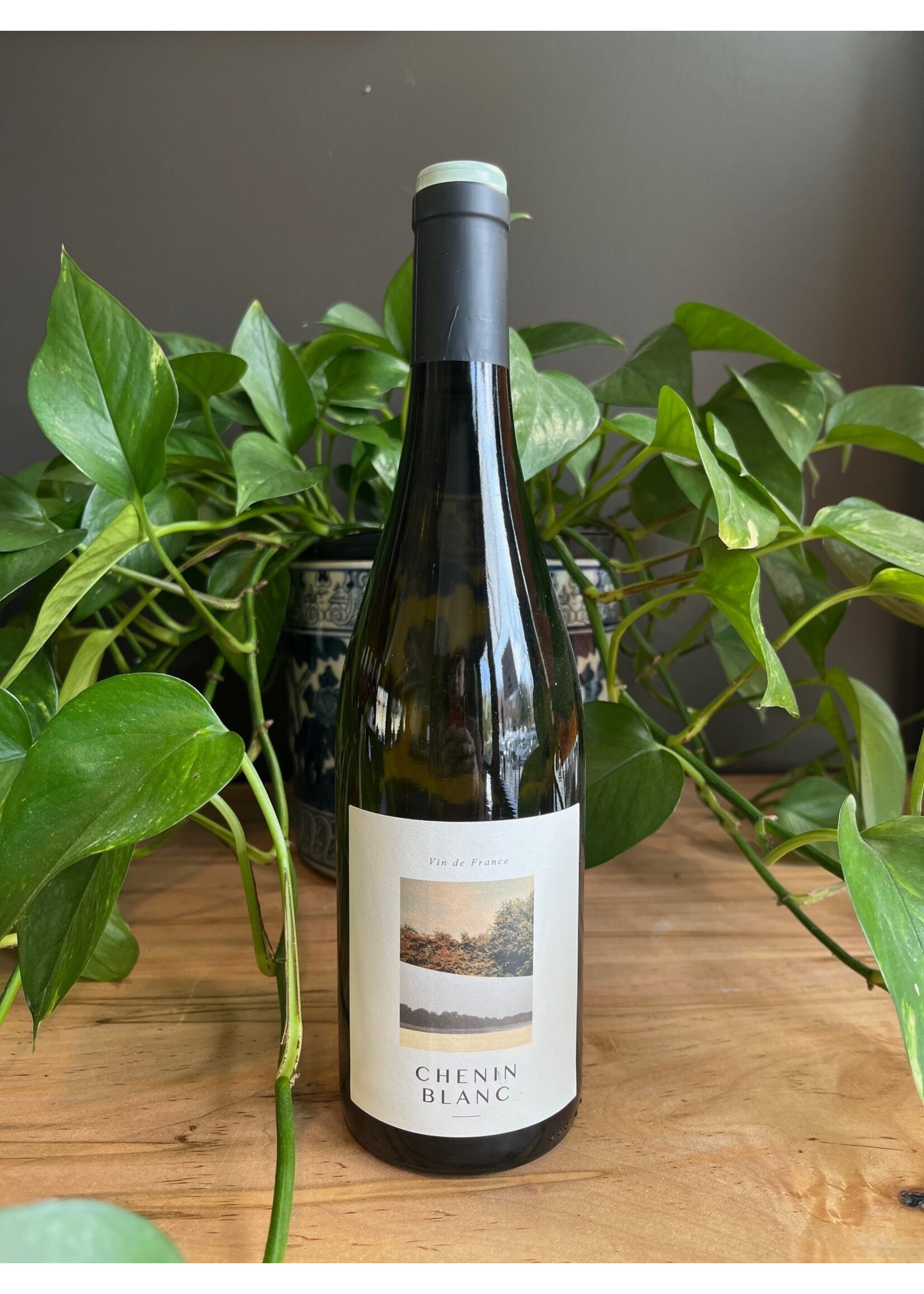 Plaisance - Anjou Chenin Blanc 2023