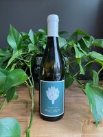 Cameron - Giuliano White 2023