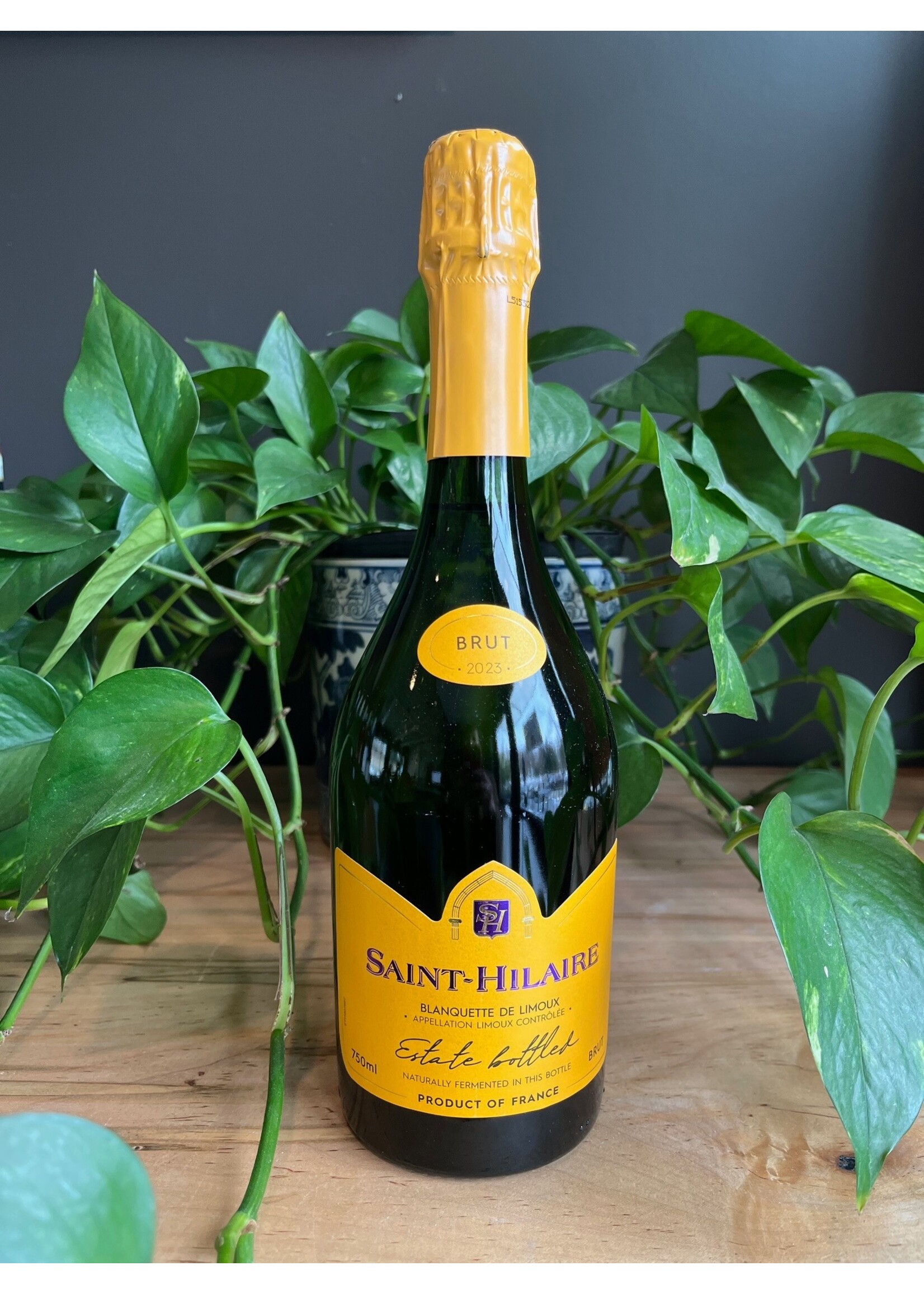 Sainte Hilaire - Blanquette de Limoux Brut NV