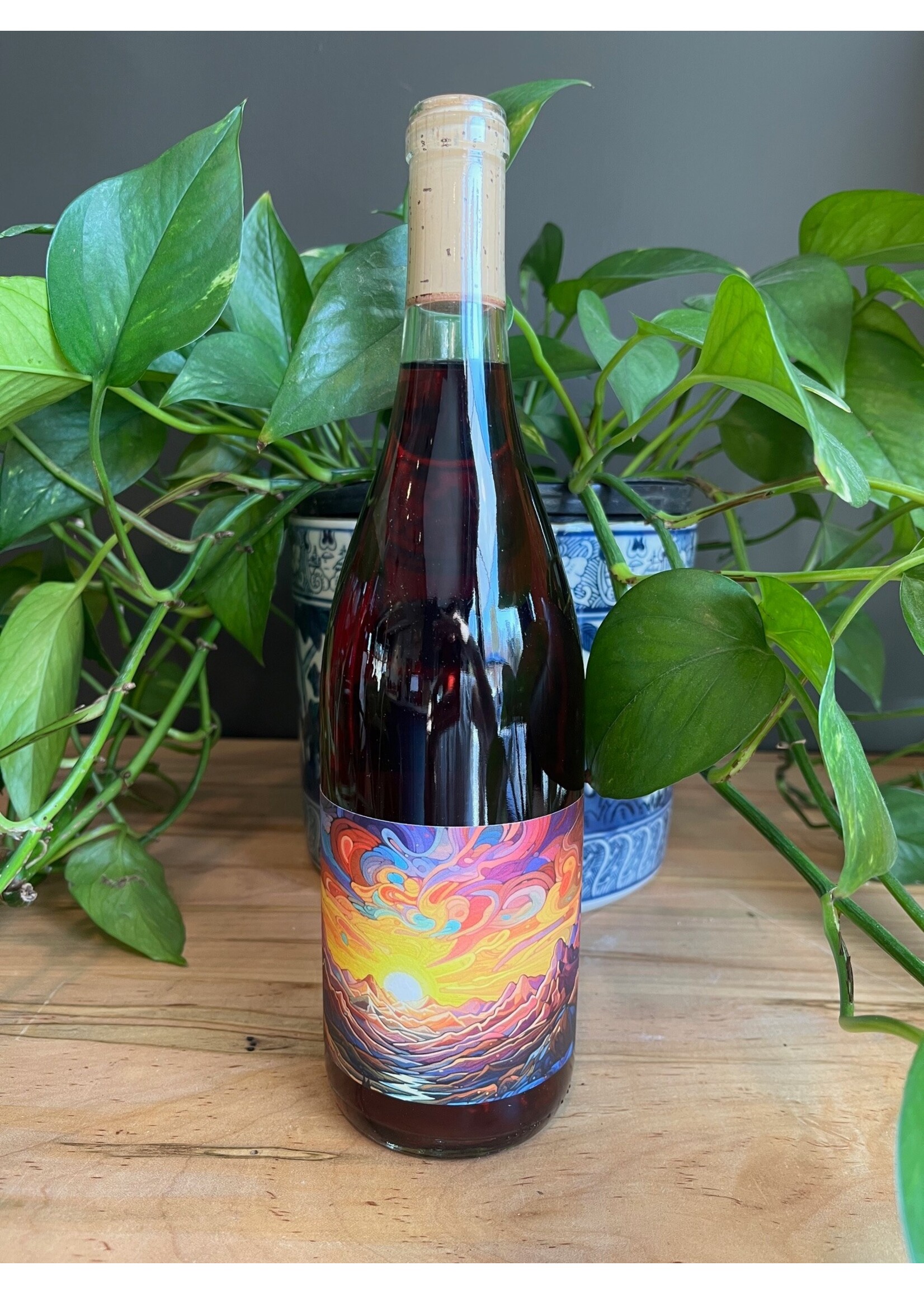 Pax - Alpine Red 2023