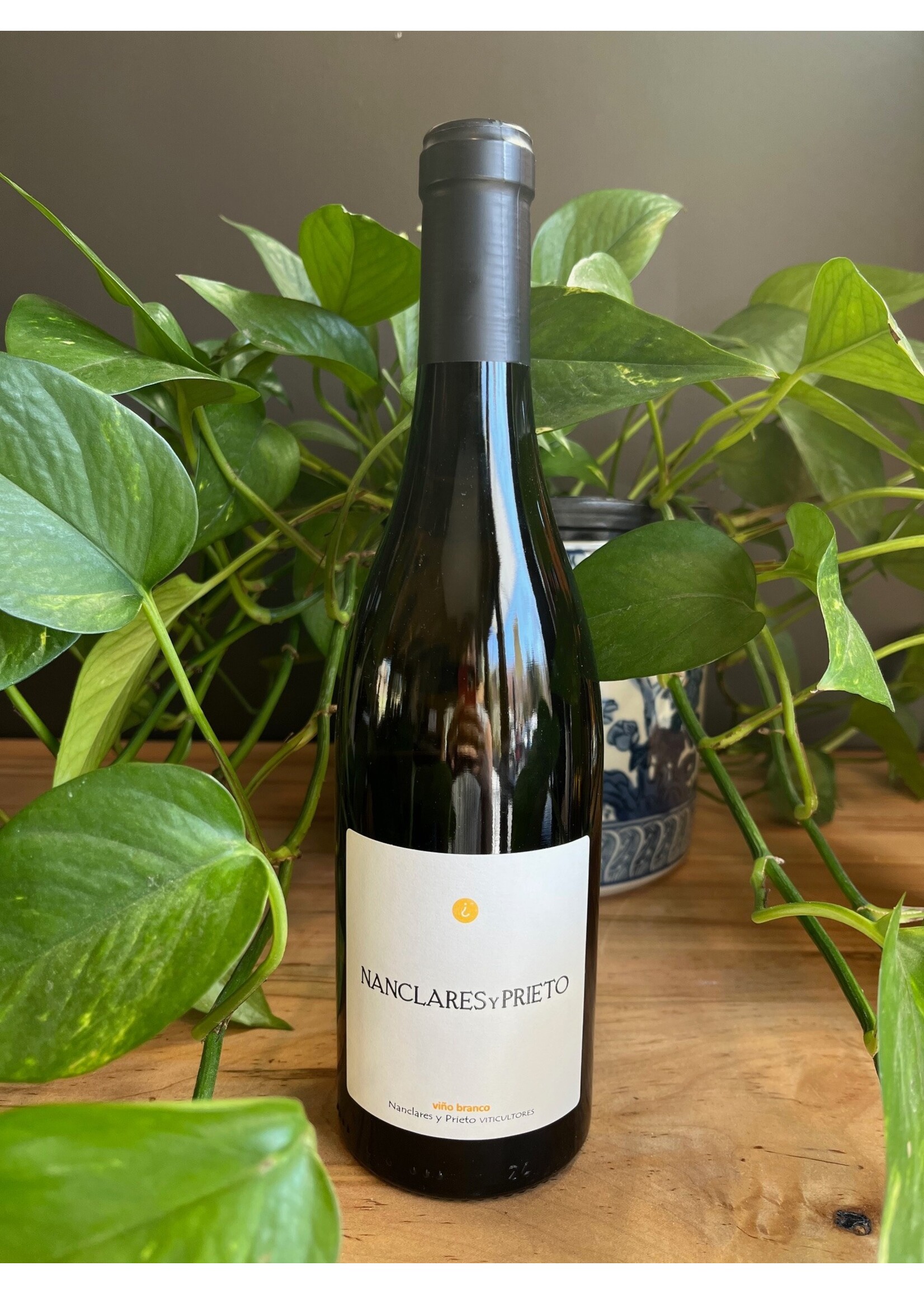 Jose Pastor Nanclares y Prieto - Blanco Albarino 2024