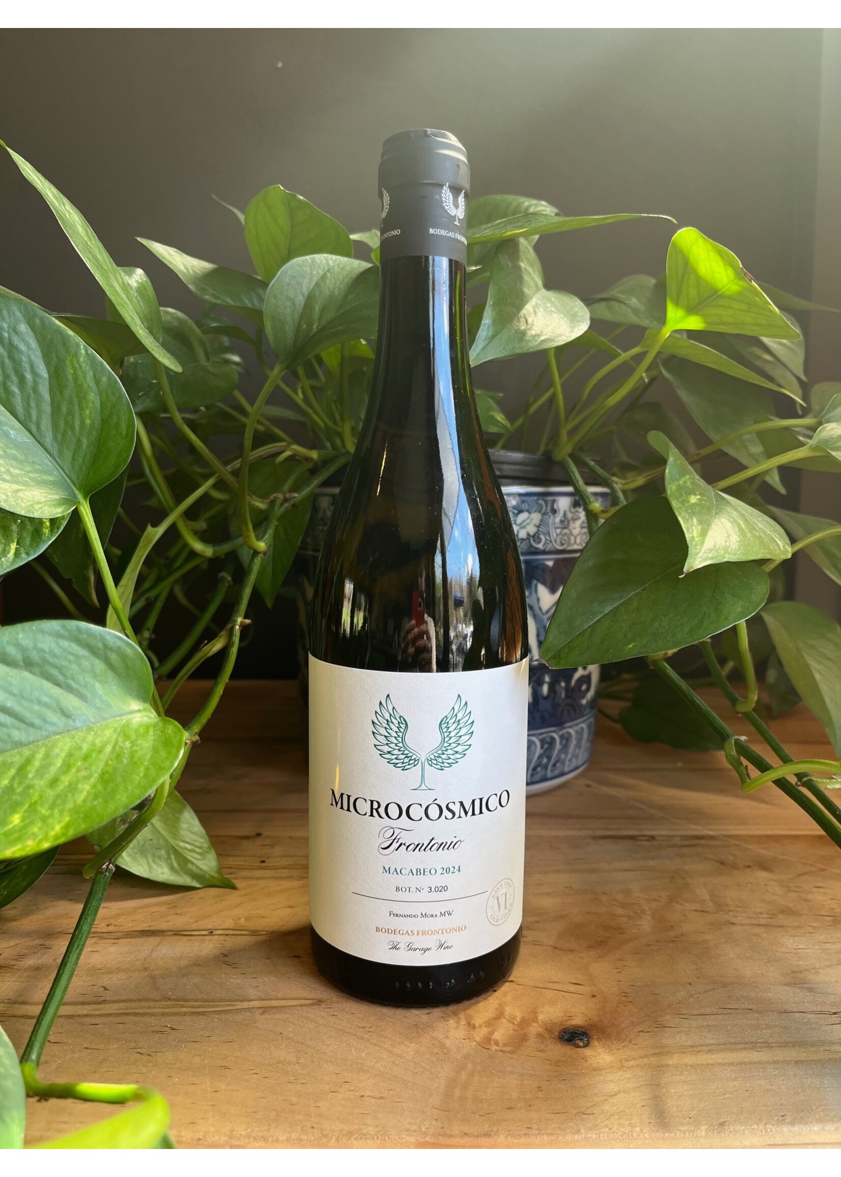 Microcosmico - Frontonio Macabeo 2024