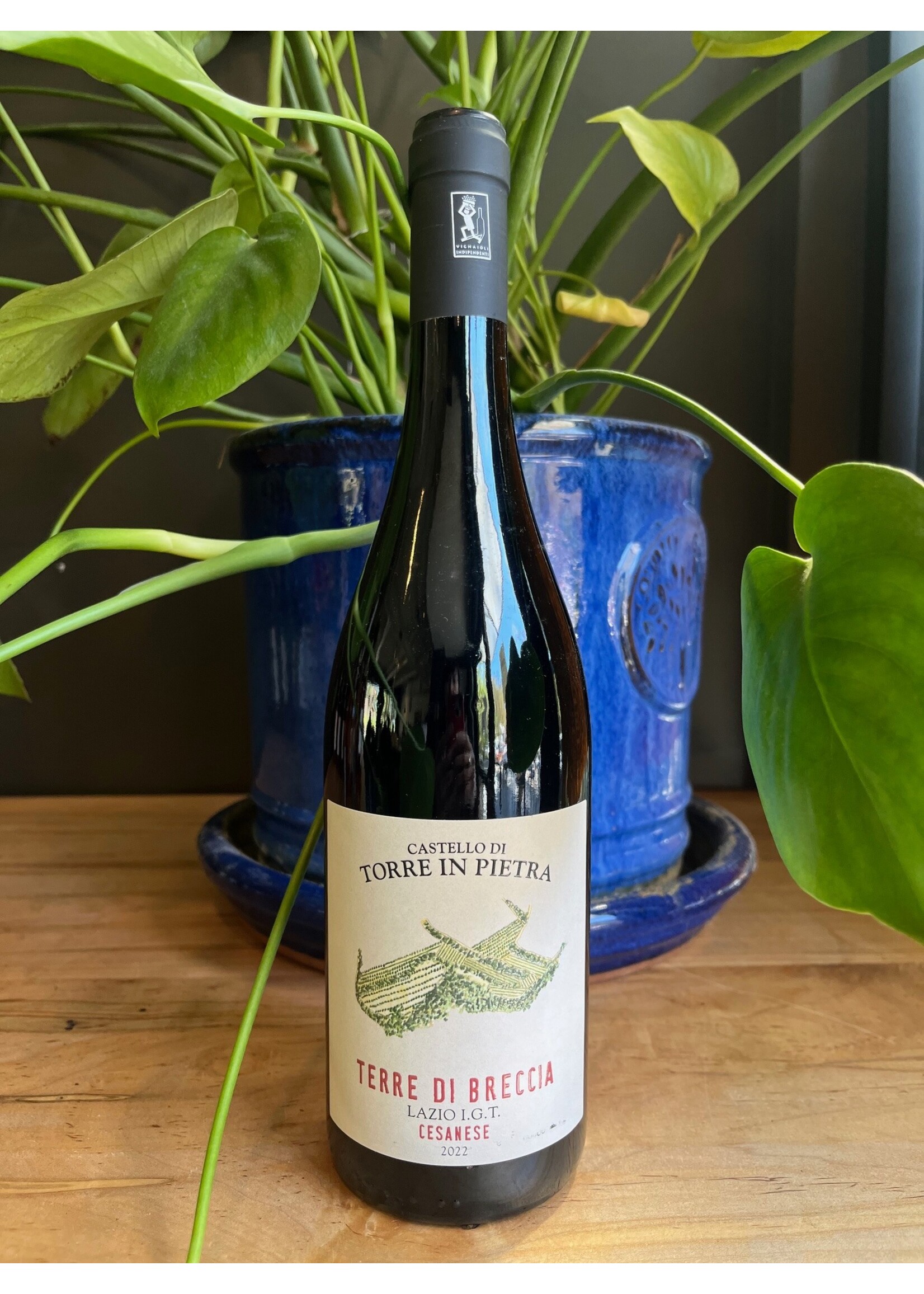 Piedmont Wine Imports Castello di Torre in Pietra - "Terre di Breccia" Cesanese 2023