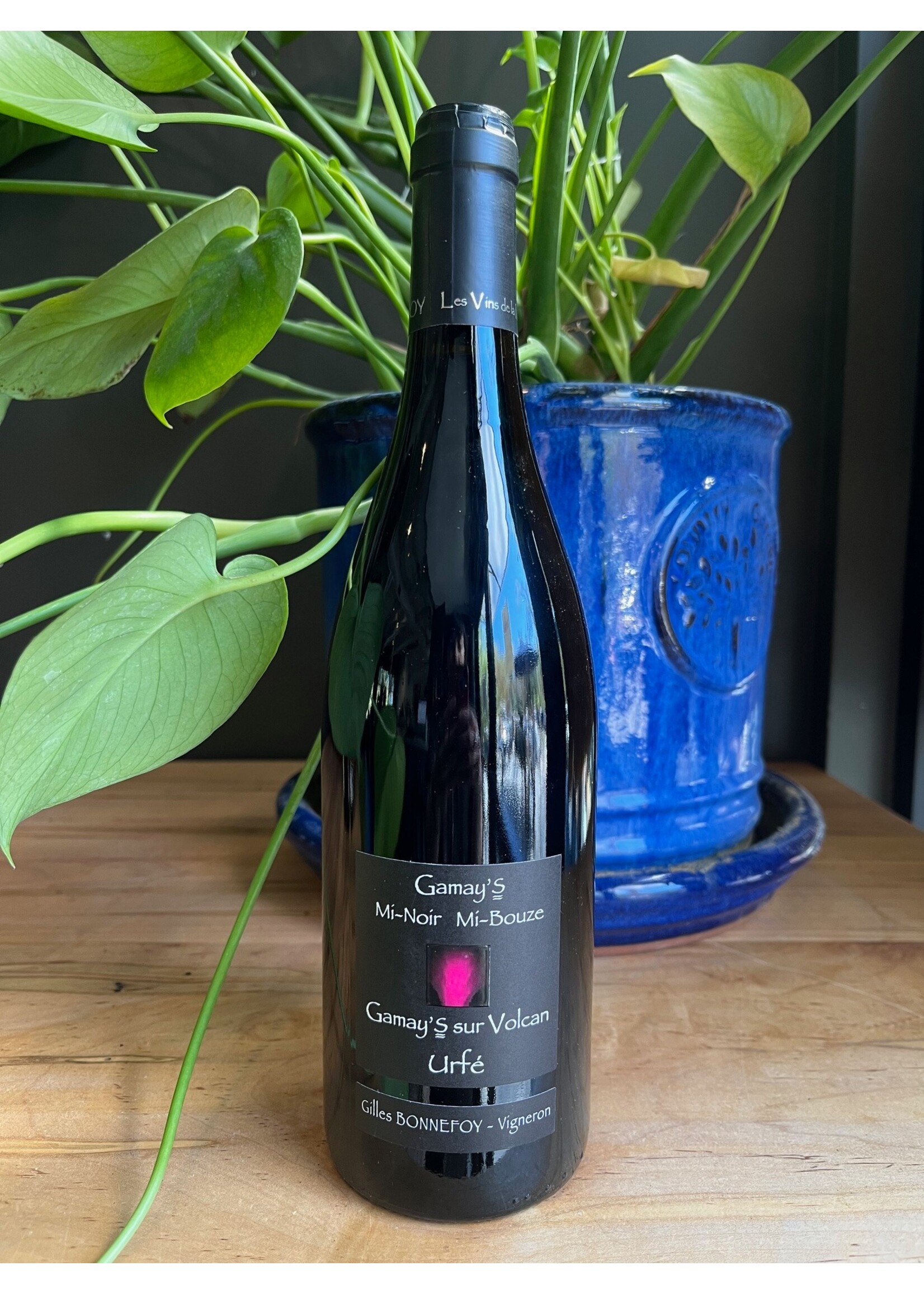 Les Vins de la Madone - Gamay's Urfé  "Mi-Noir Mi-Bouze" 2023