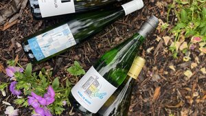 Oregon Wine Tasting | Feature Wines | Tuscany Wine Dinner