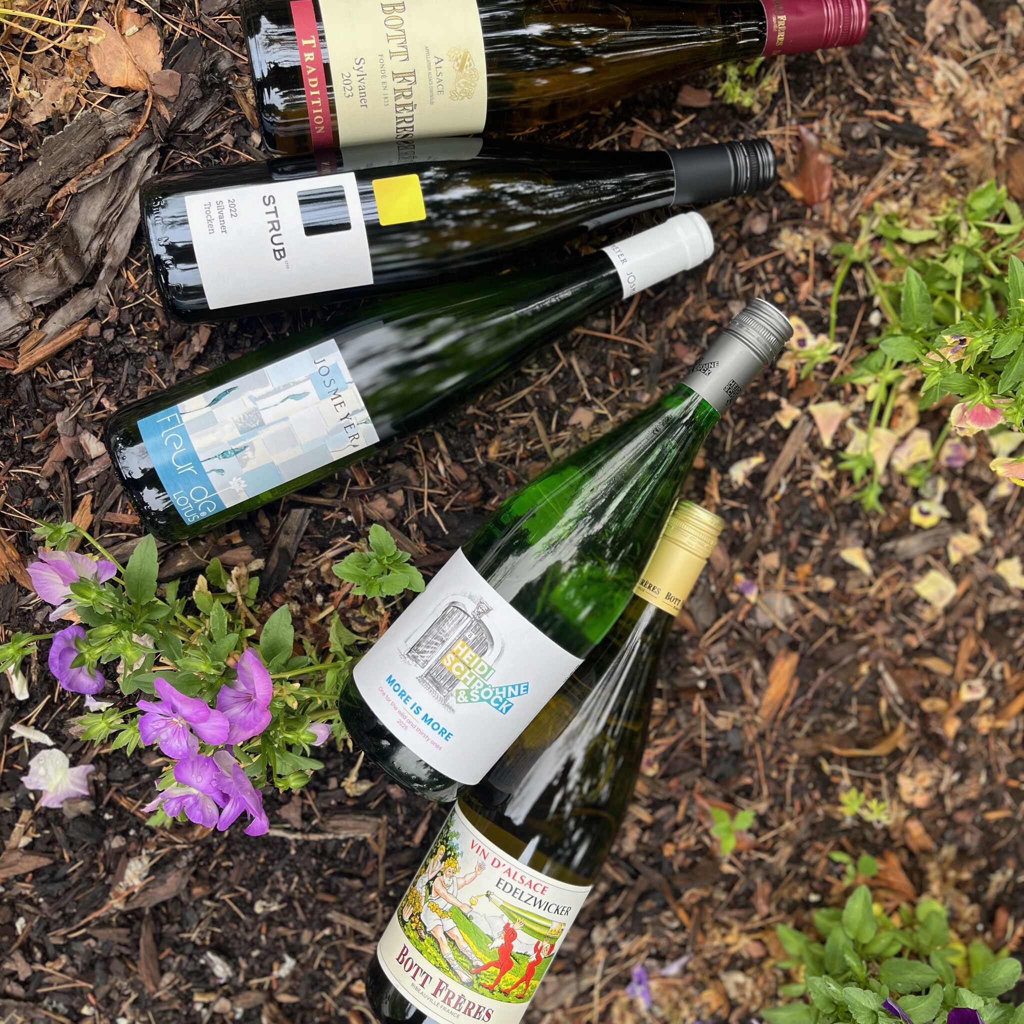 Oregon Wine Tasting | Feature Wines | Tuscany Wine Dinner