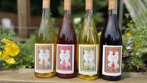 Summer Holiday Closure | Featured Wines
