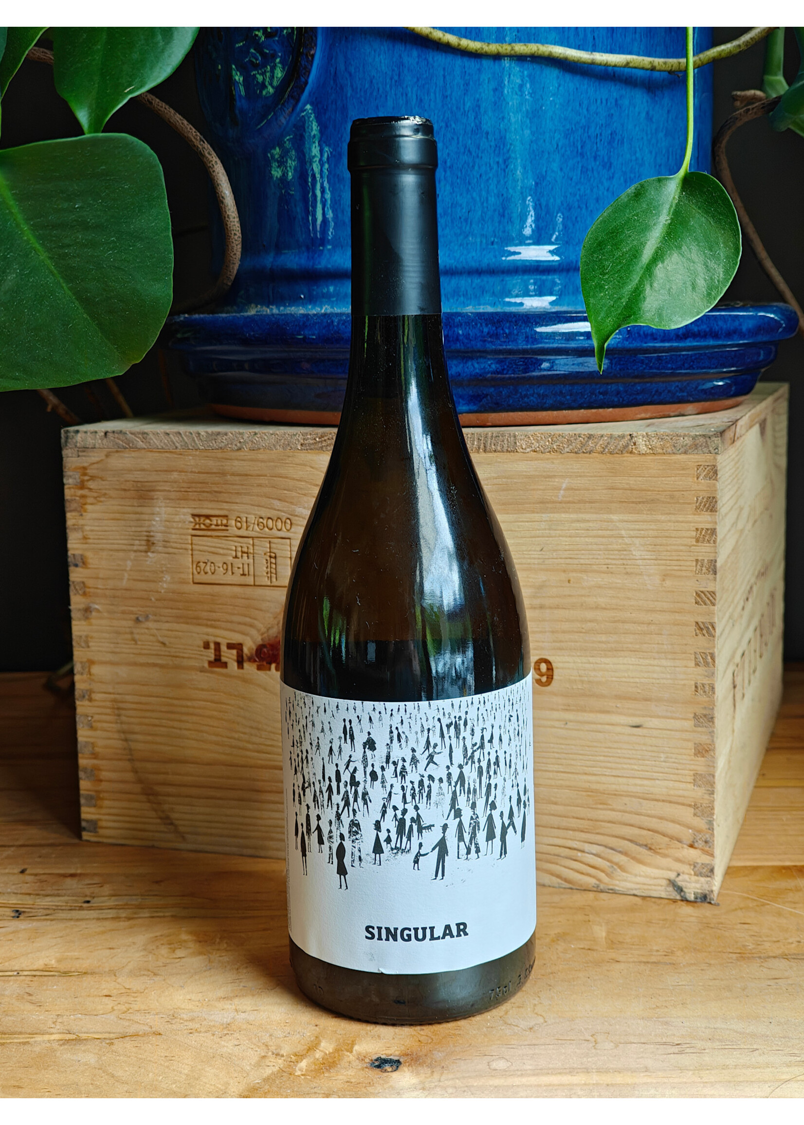 Avesso - Singular Alvarinho 2024