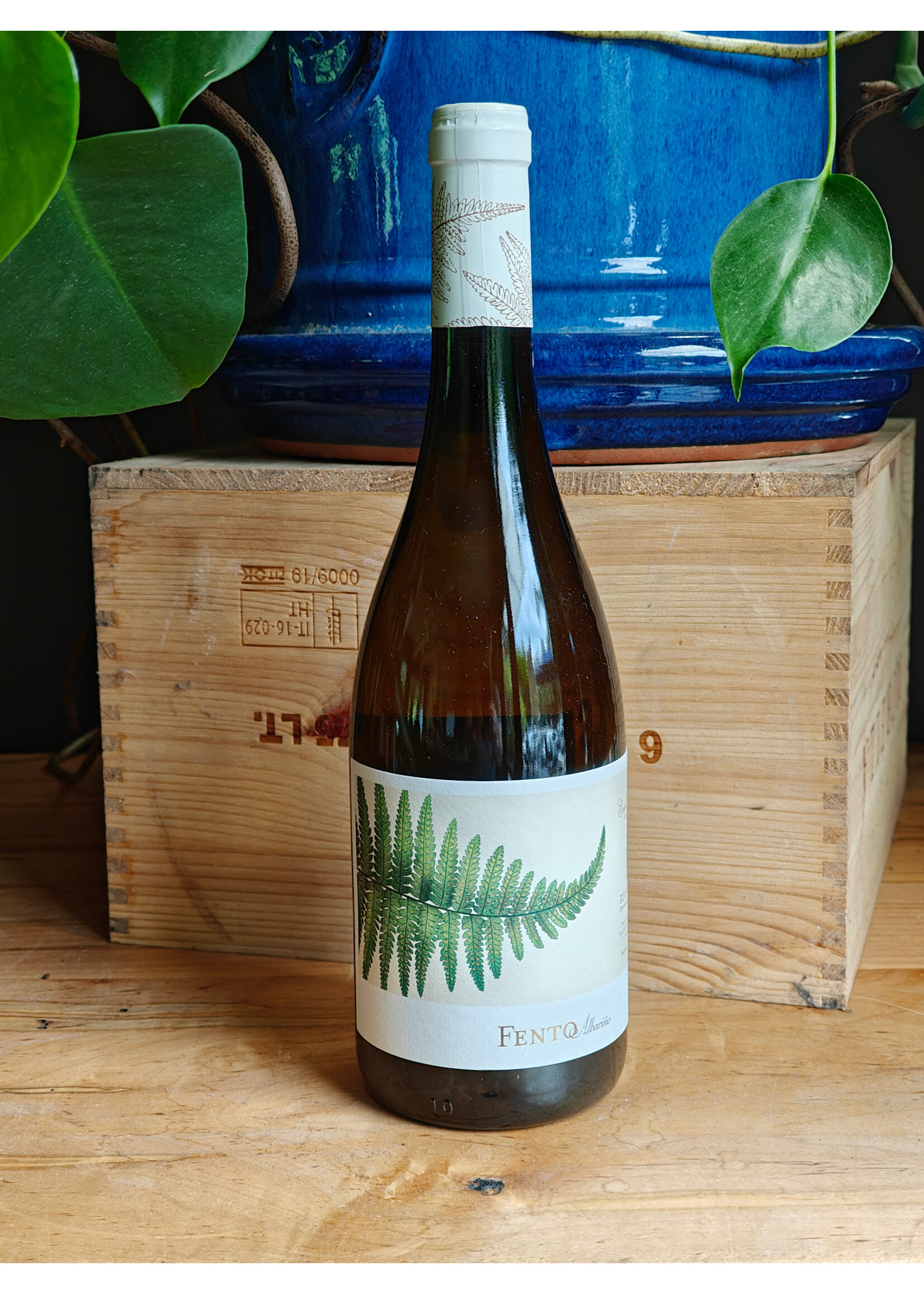 Fento - Albarino 2025
