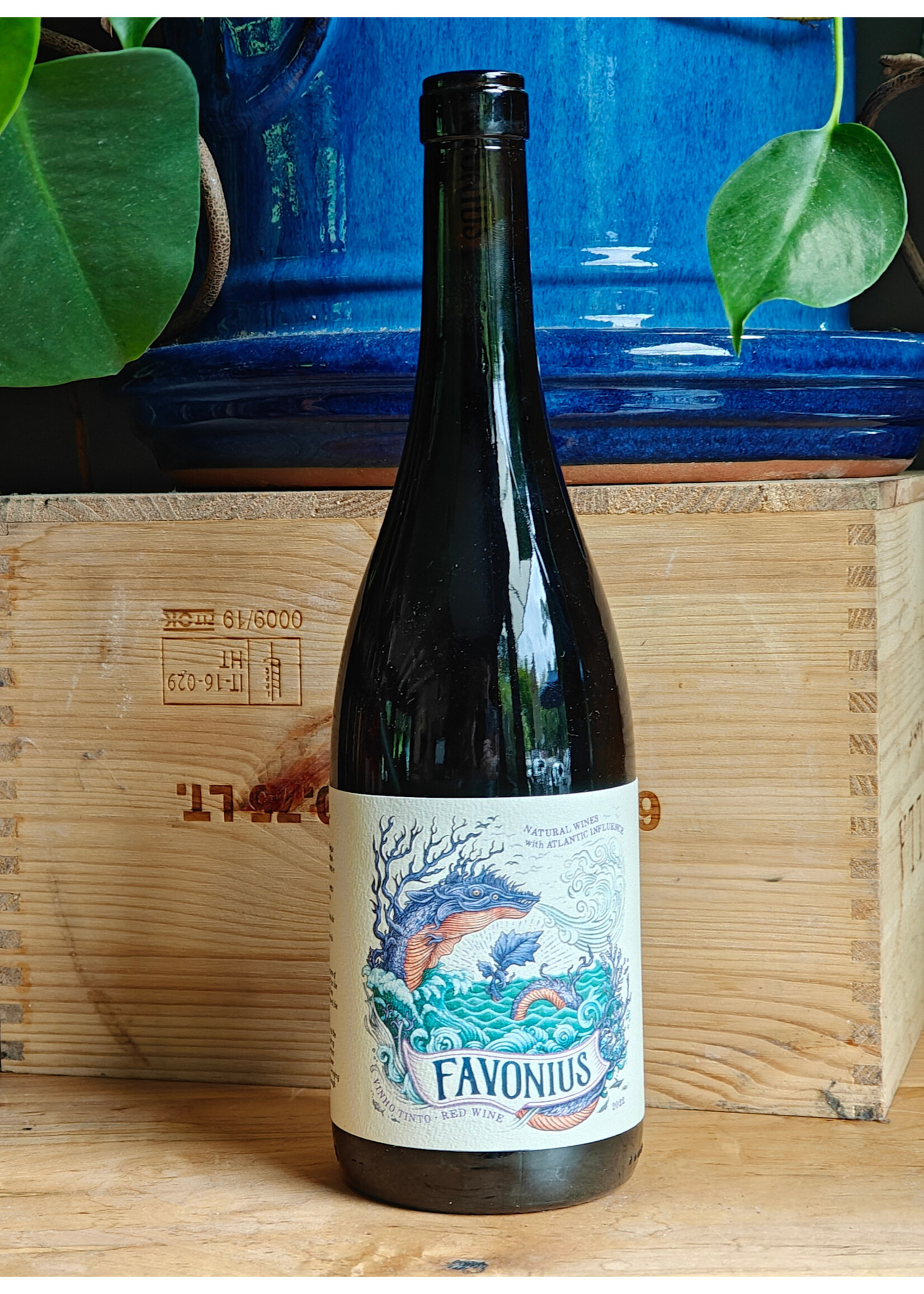 Favonius - Tinto 2022