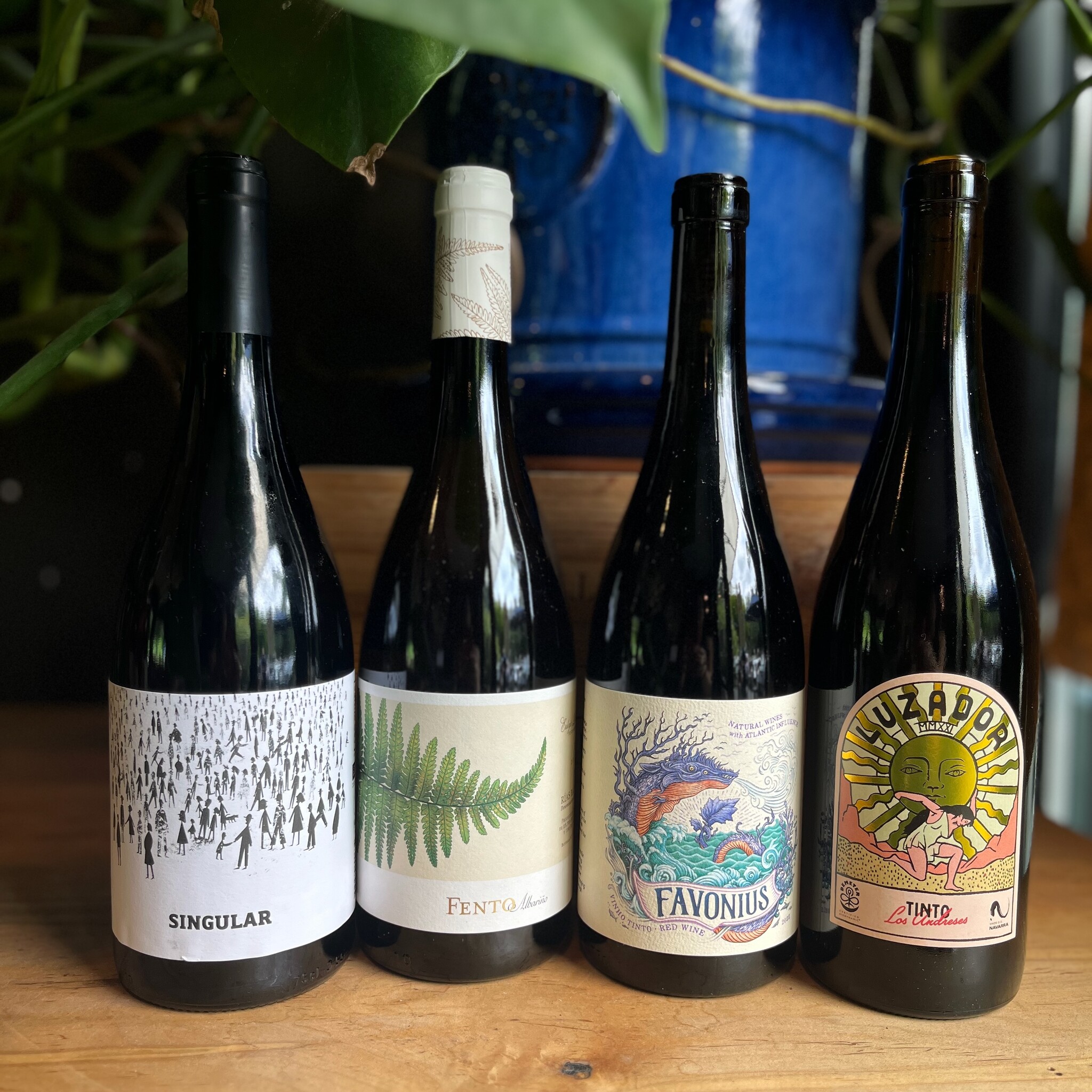 Portugal & Spain Wine Tasting | Wine Clubs
