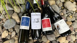 Greece & Cyprus Wine Tasting | New Restaurant in town