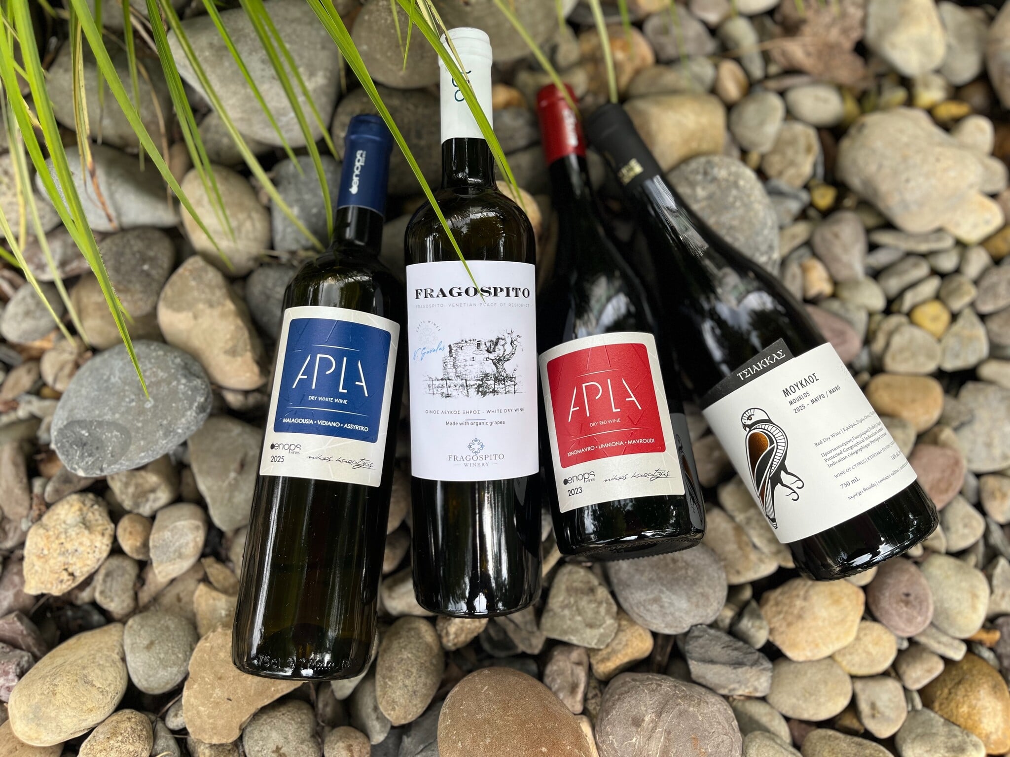 Greece & Cyprus Wine Tasting | New Restaurant in town