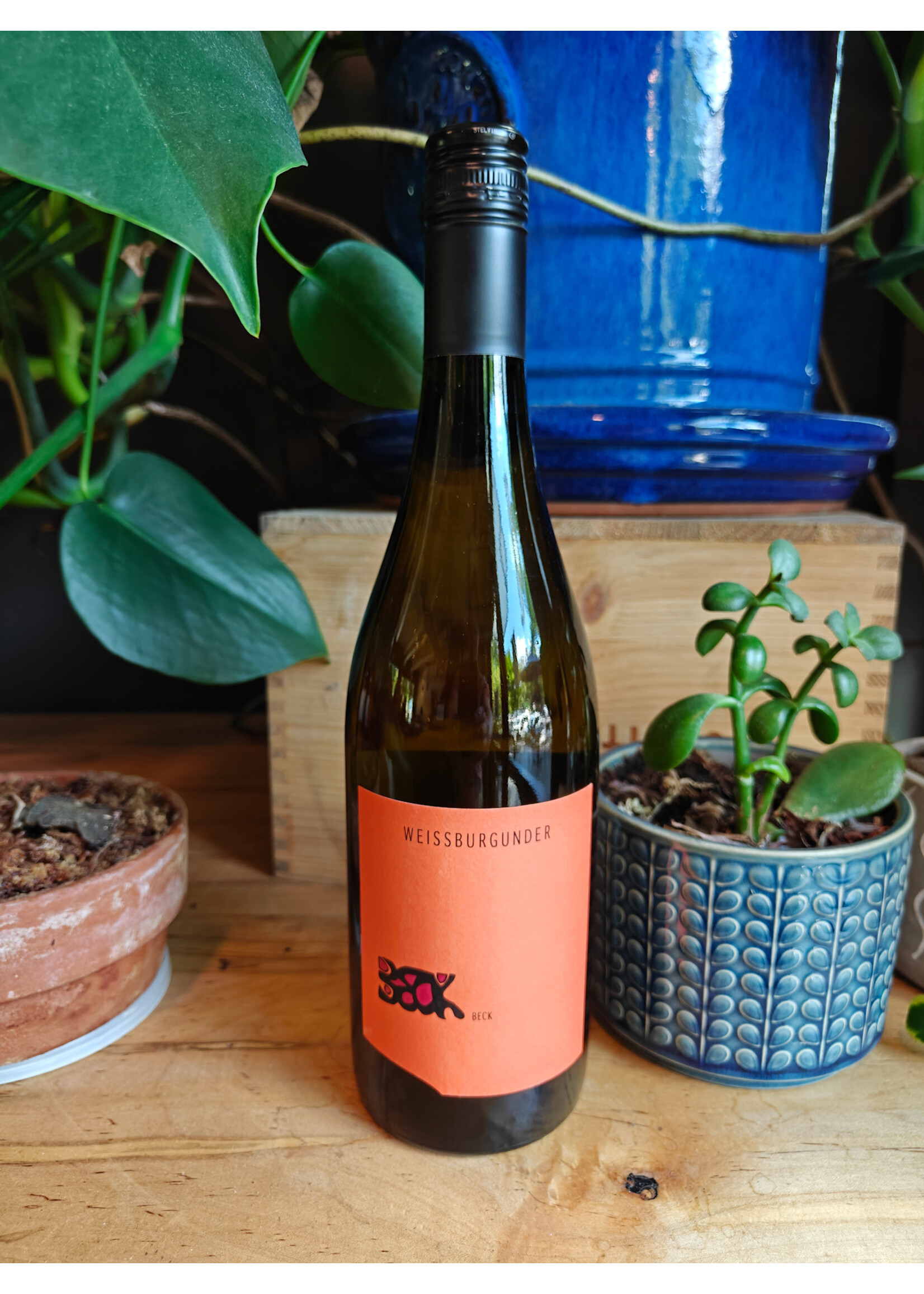 Judith Beck - Weissburgunder Burgenland White 2024
