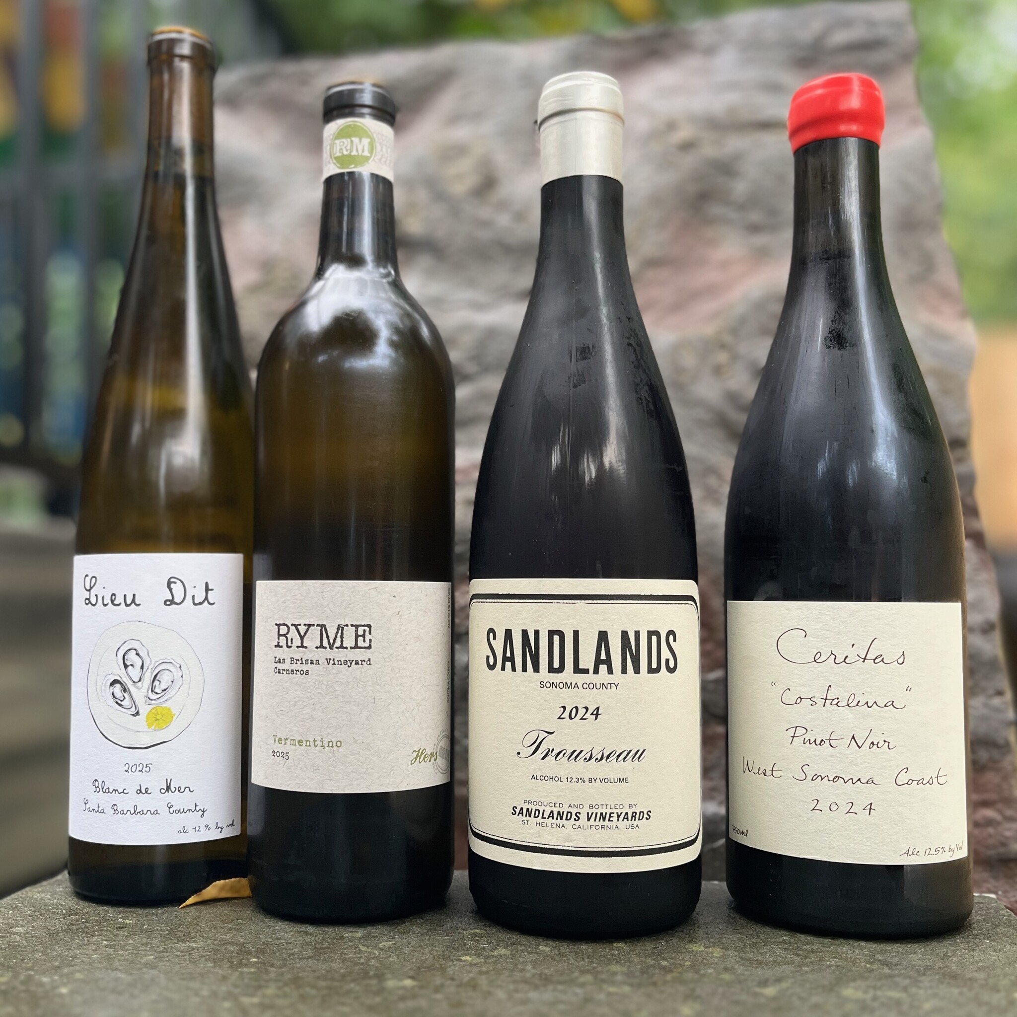 Cool kids from Cali Wine Tasting | Hirsch Vineyards Wine Tasting