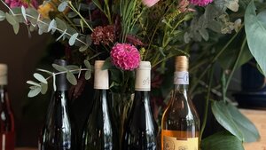 Fall Wines