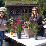 Workshops Workshop - Fall Planters - Sept 10th 4:30 - 5:30pm