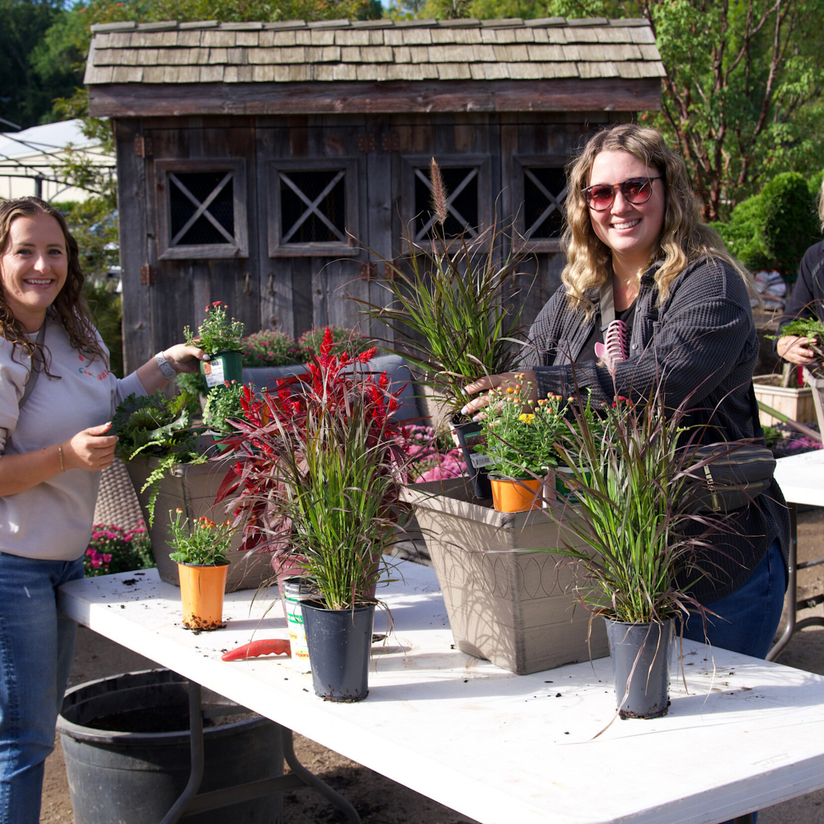 Workshops Workshop - Fall Planters - Sept 12th 10:00 - 11:00am