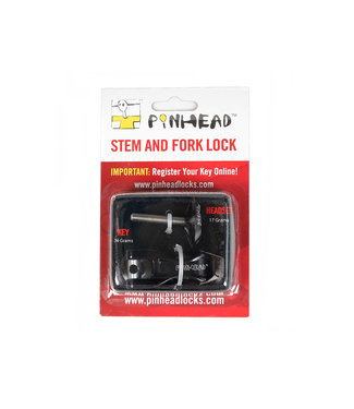 Stem and Fork Lock