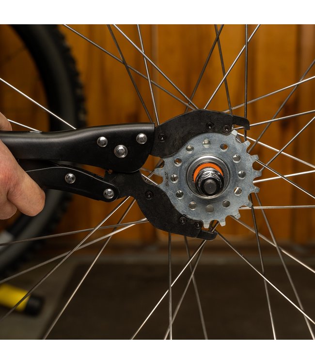 Pedro's Vise Whip II Removal Tool