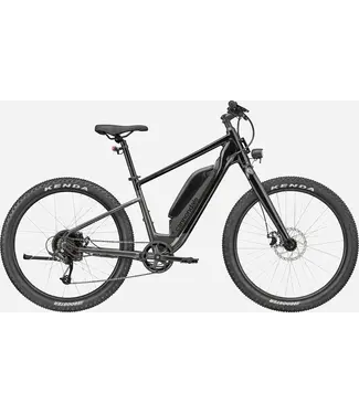 Cannondale Adventure Neo All Road EQ, 2025