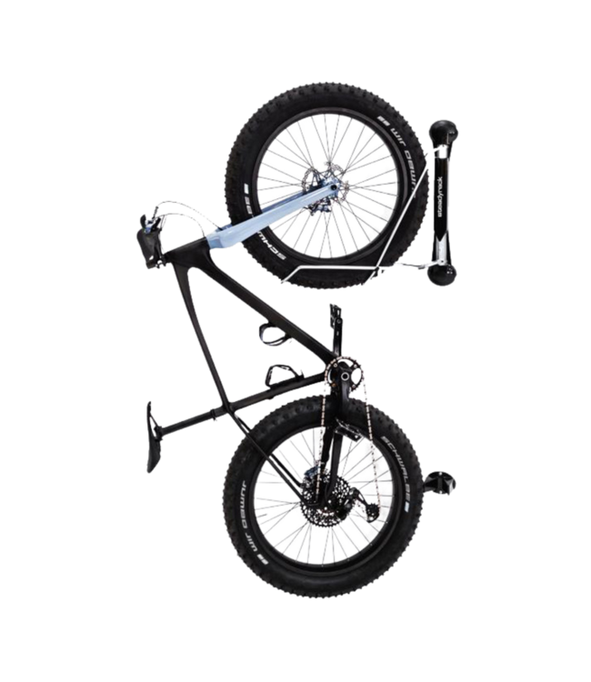 Steadyrack Wall Mount