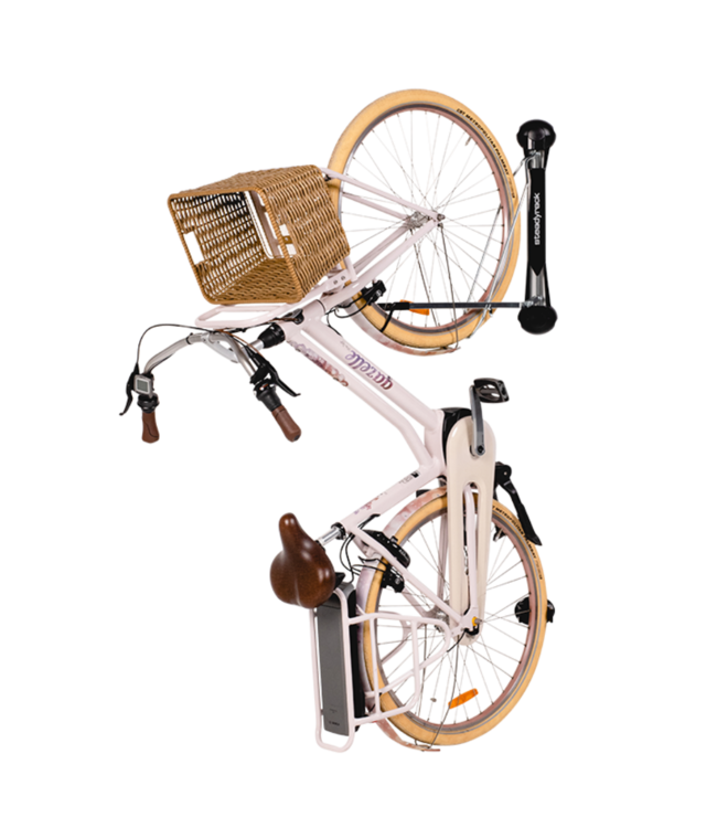 Steadyrack Wall Mount