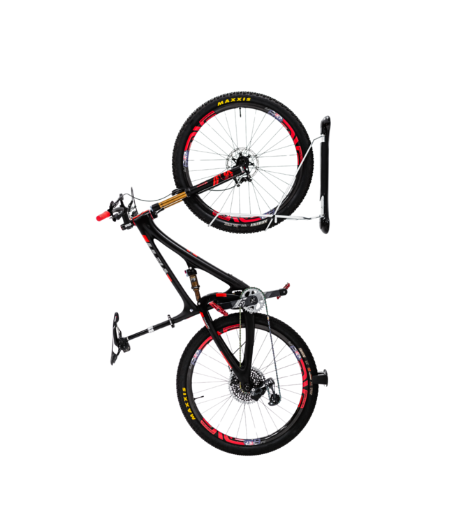 Steadyrack Support Mural