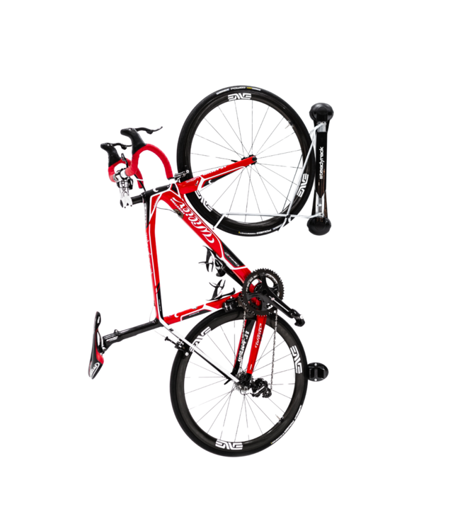 Steadyrack Wall Mount