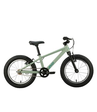 Evo Cadet 16, 2026