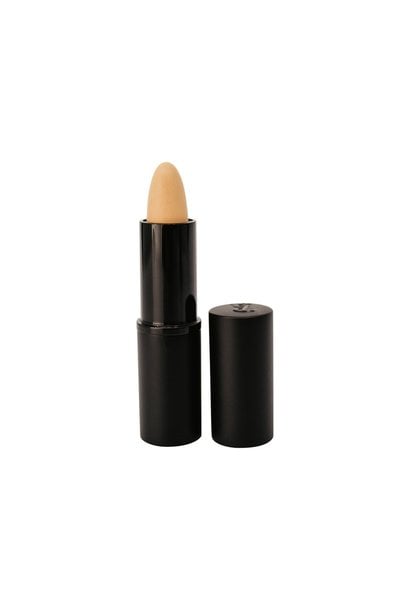 Eclipse Concealer - Light