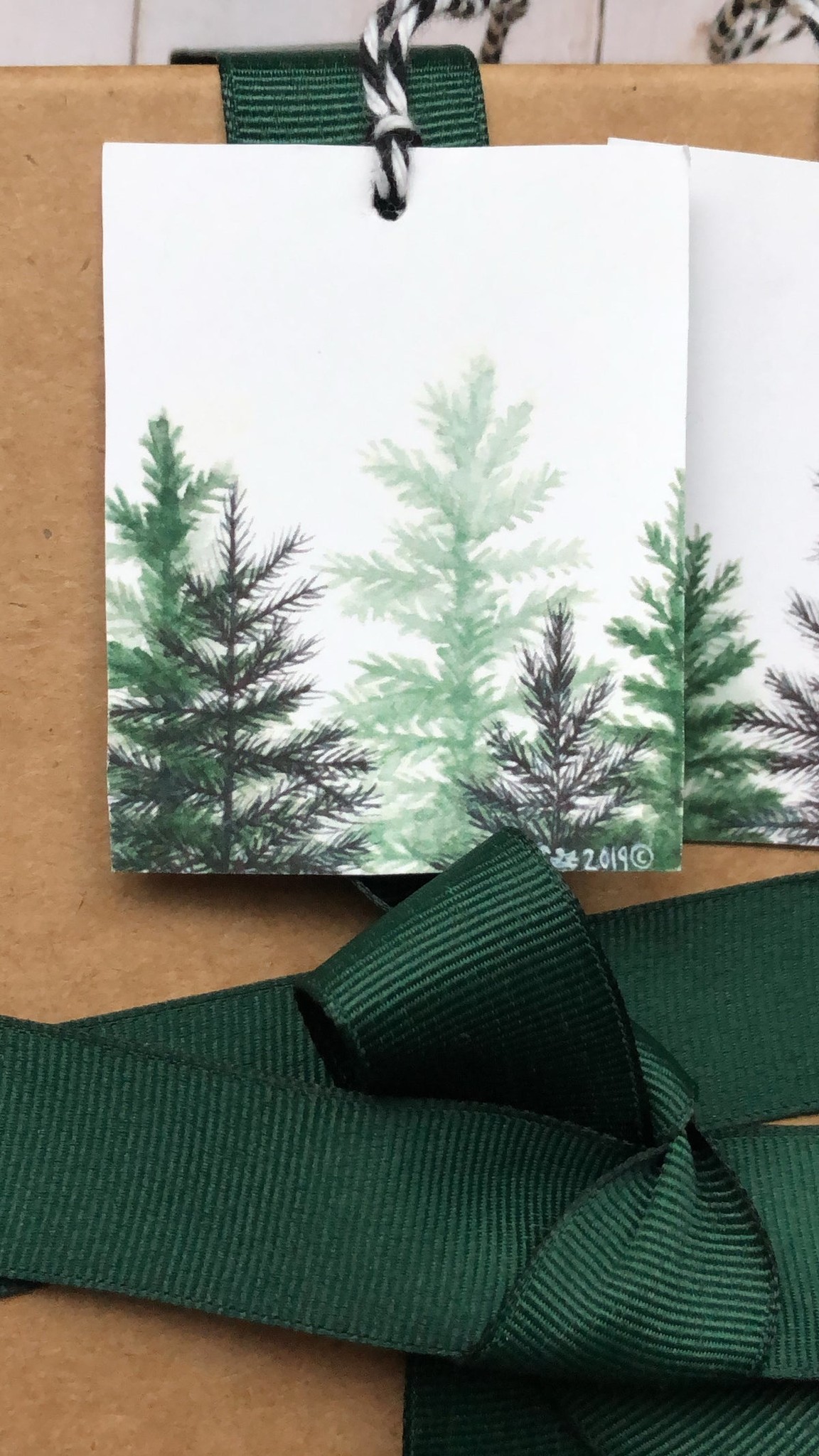 Gift Tags (Forest) 6/pk-1