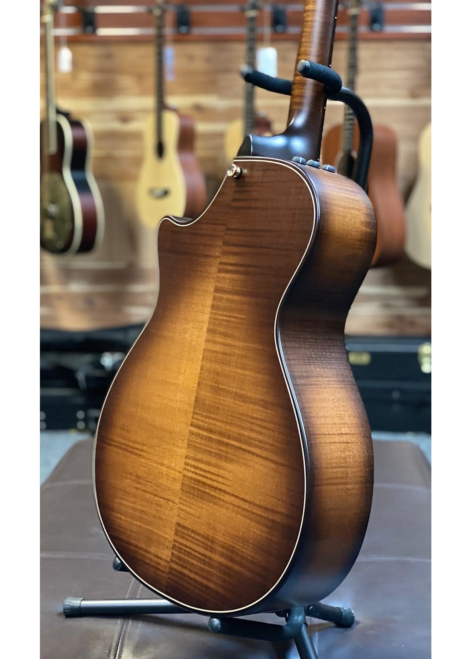 taylor 652ce builder's edition