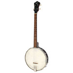 Folk Instrument