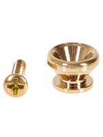 Taylor Guitars TAYLOR STRAP BUTTON & SCREW GOLD + $5 SHIPPING
