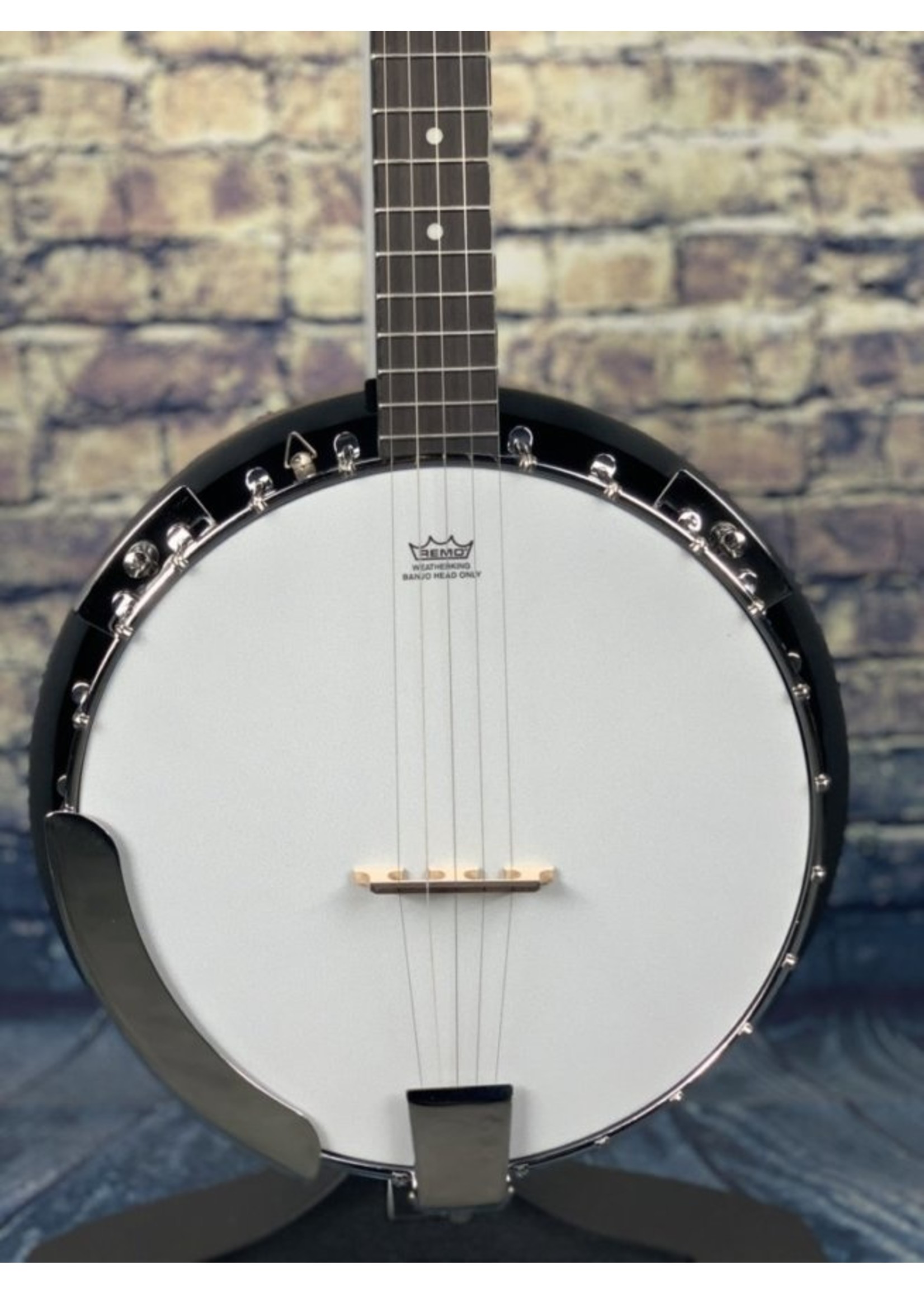 Morgan Monroe Morgan Monroe RTB24 Bracket Banjo Mahogany back