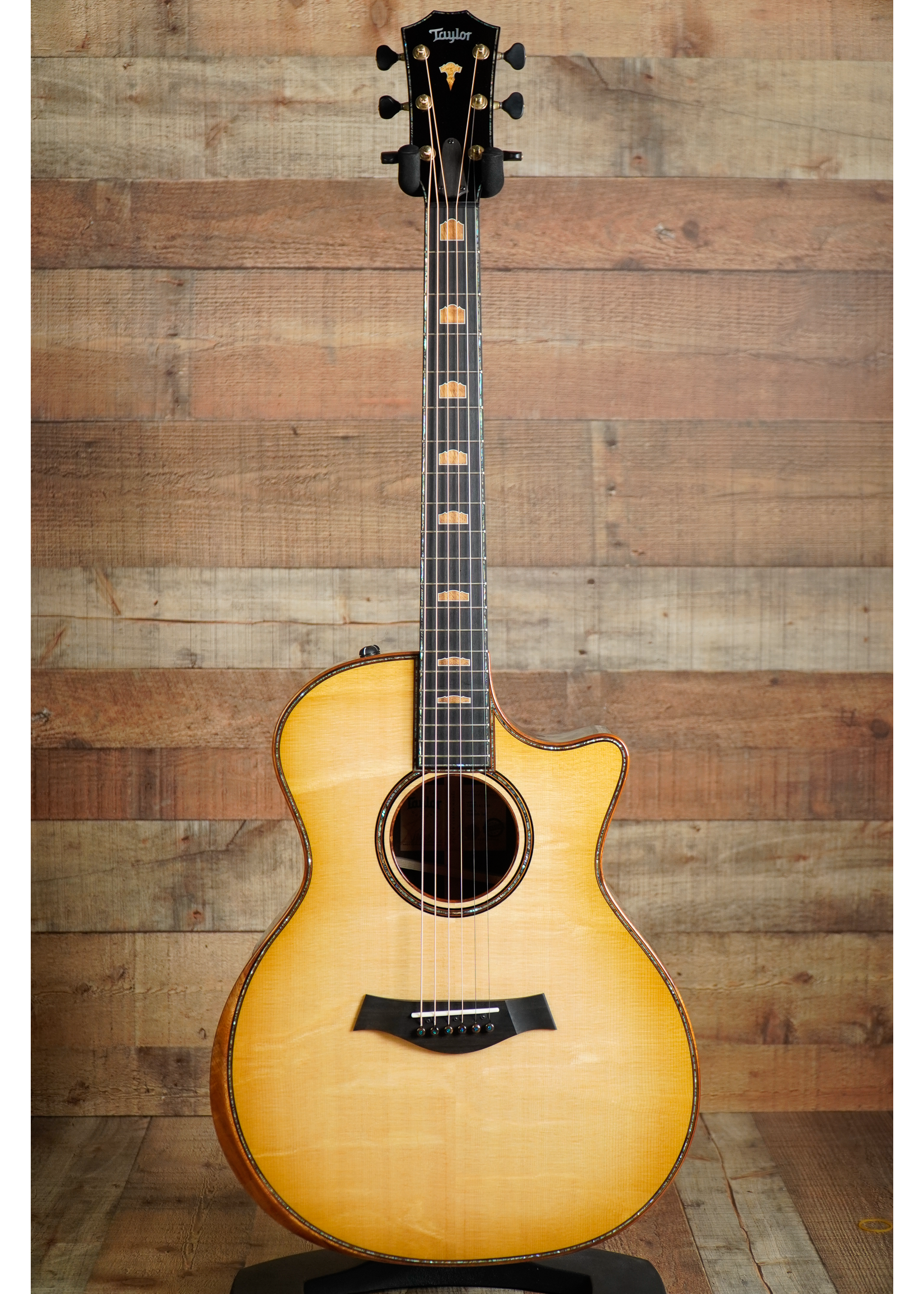 Taylor Taylor Custom #5 NAMM Exclusive Only 30 Available WorldWide