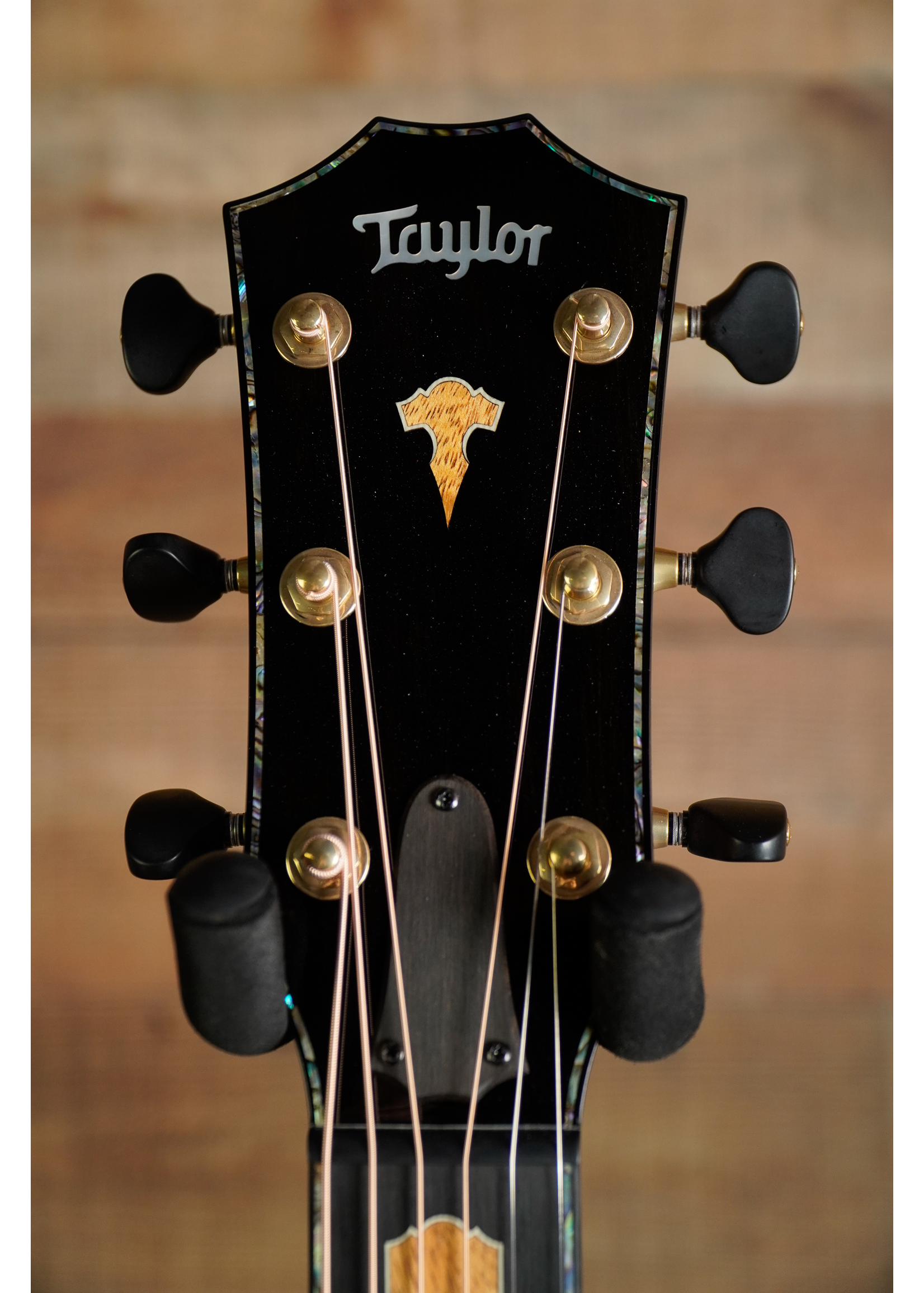 Taylor Taylor Custom #5 NAMM Exclusive Only 30 Available WorldWide